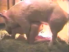 Slutty amateur gets filmed in secret while fucking the pig